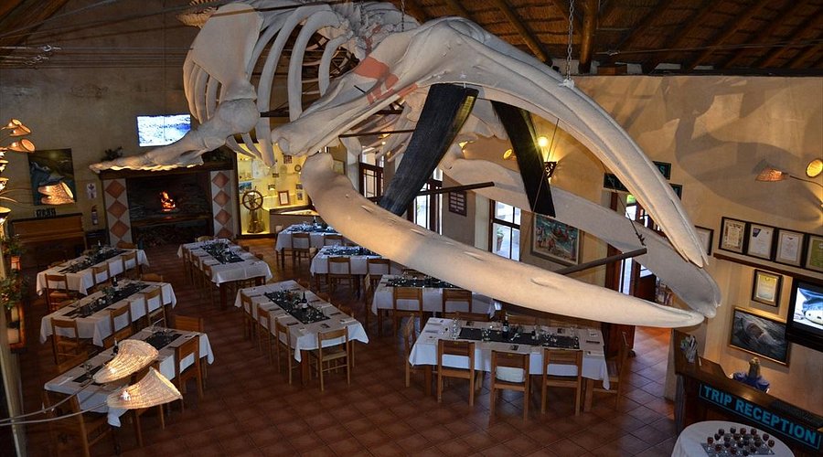 Great White House in Gansbaai